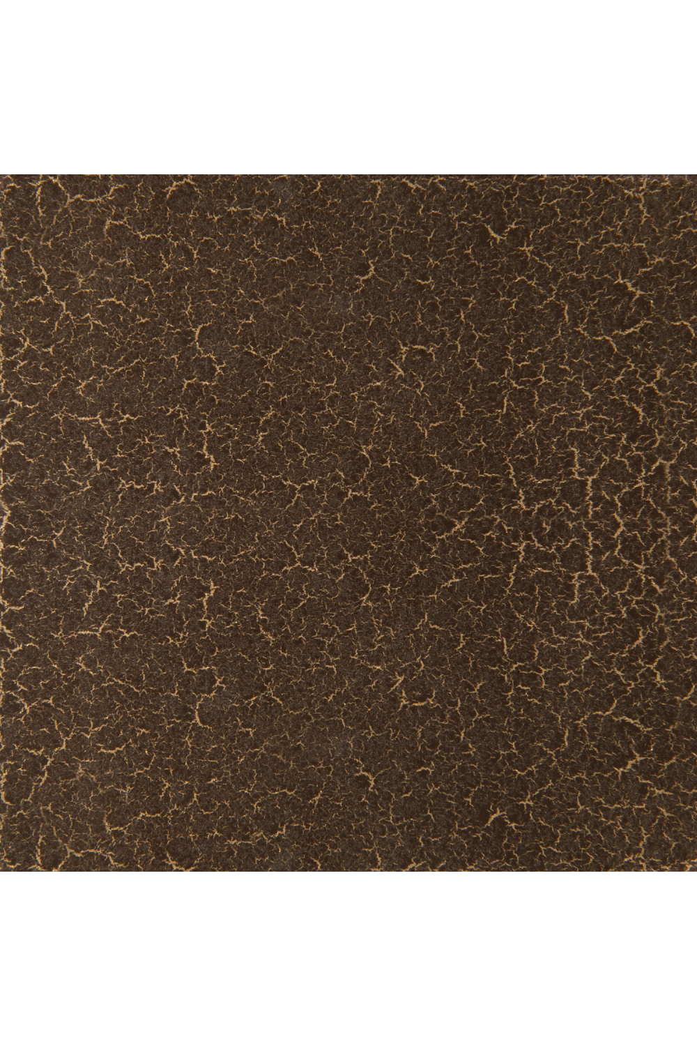 Gold Trimmed Wooden Coffee Table | Caracole Full Break | Caracole.eu.com