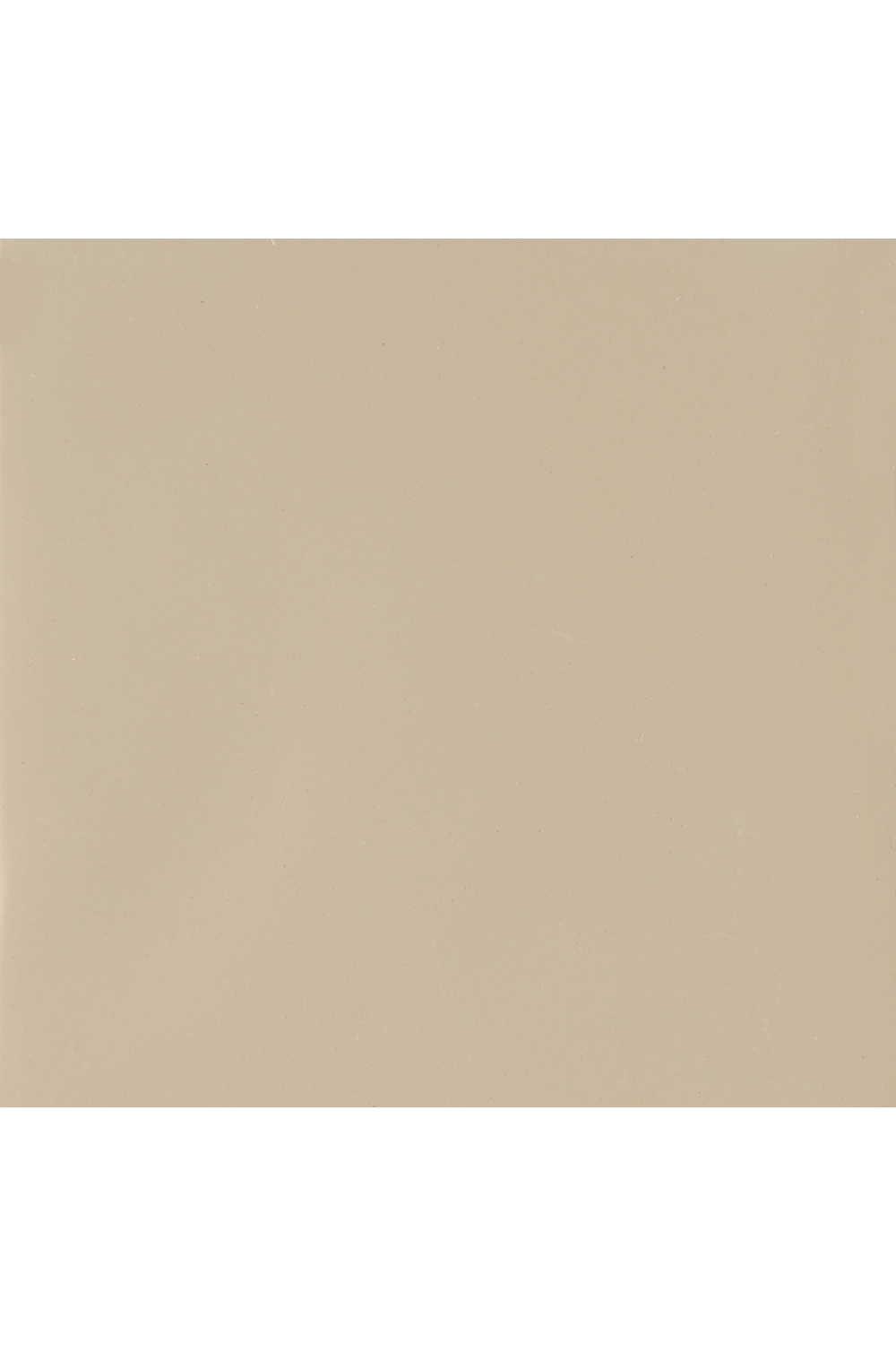 Cream Velvet Dining Chair | Caracole | Caracole.eu.com