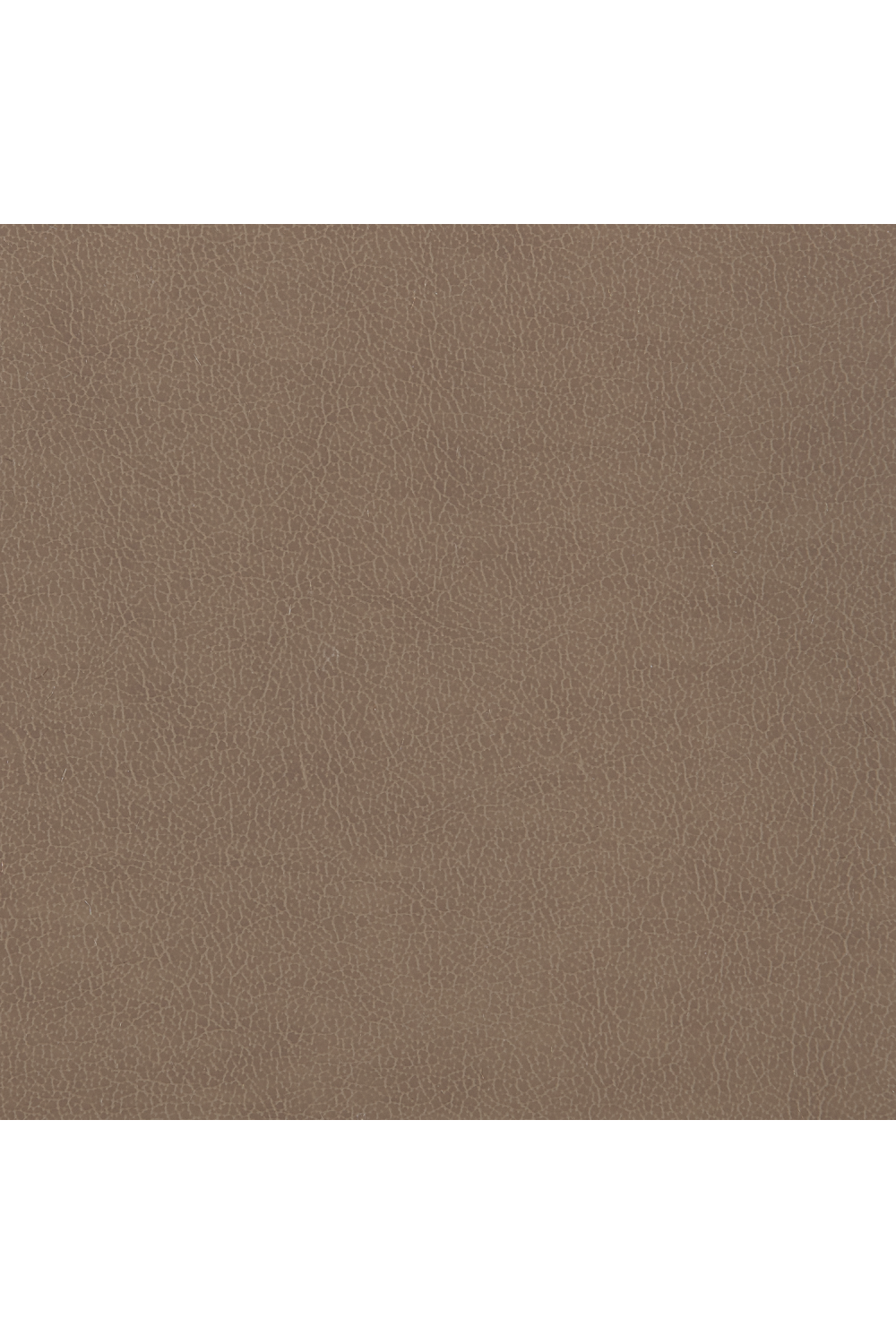 Taupe Velvet Accent Chair | Caracole You Sleigh Me | Caracole.eu.com