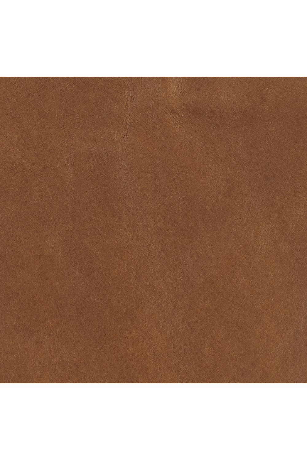 Brown Leather Lounge Chair | Caracole Rhythm | Caracole.eu.com